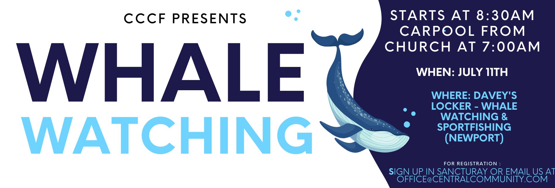 Whale July 2026 web banner